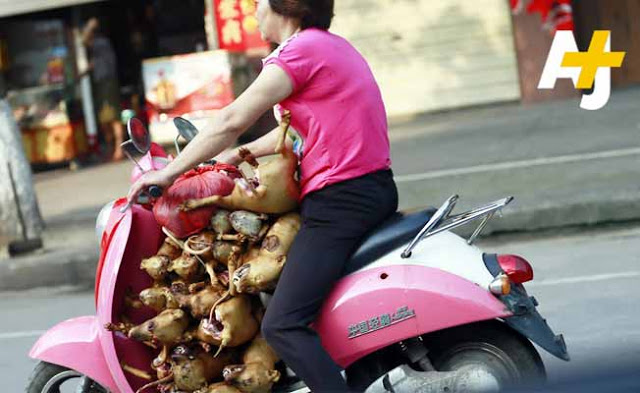 Yulin's Dog-Eating Festival Of China 