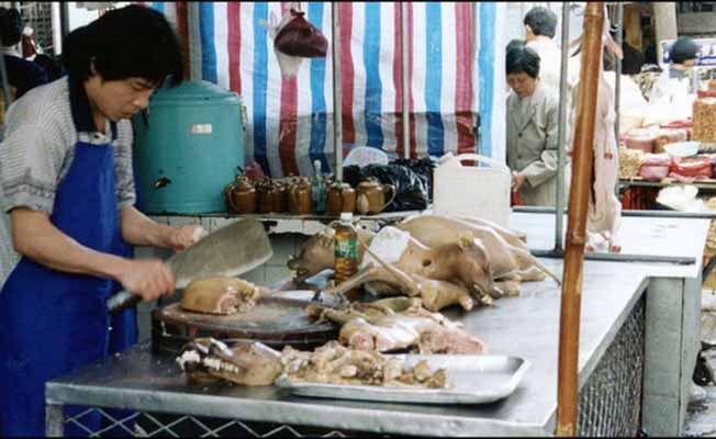 Yulin's Dog-Eating Festival Of China 
