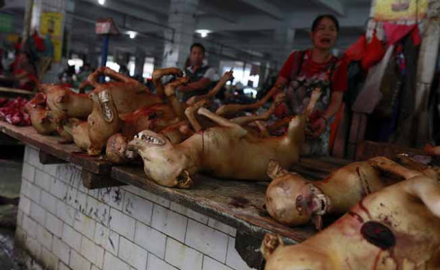Yulin's Dog-Eating Festival Of China  