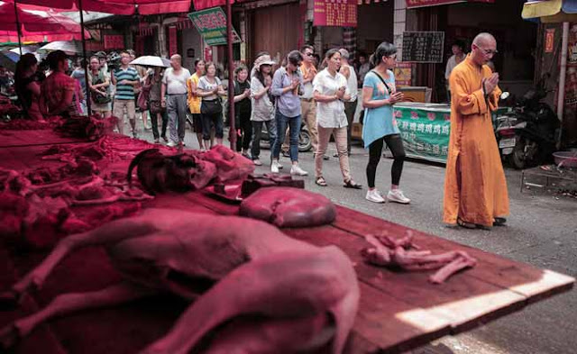 Yulin's Dog-Eating Festival Of China 