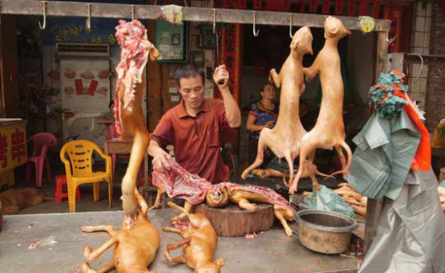 Yulin's Dog-Eating Festival Of China 
